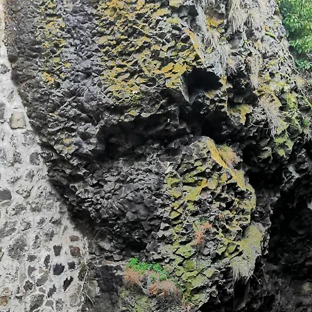 4 Pers Avec Cour, Vue Loire - Fr-1-582-122 度假居 *