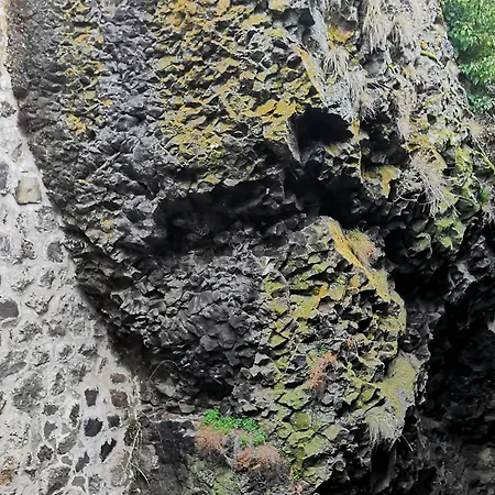 4 Pers Avec Cour, Vue Loire - Fr-1-582-122 * Arlempdes