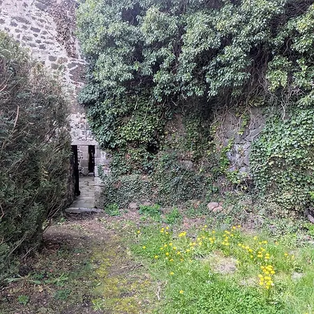 Vakantiehuis 4 Pers Avec Cour, Vue Loire - Fr-1-582-122